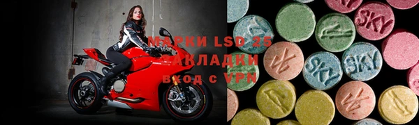 ГАЛЛЮЦИНОГЕННЫЕ ГРИБЫ Гусев
