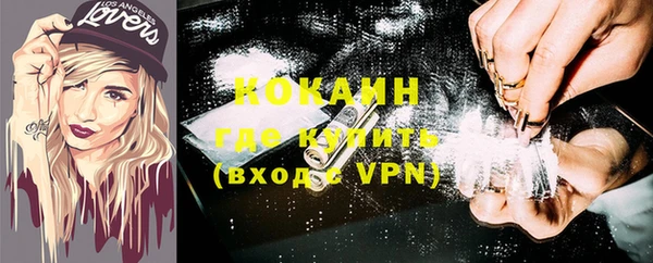 ГАЛЛЮЦИНОГЕННЫЕ ГРИБЫ Гусев