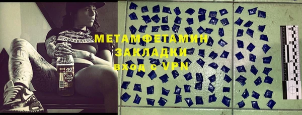 ГАЛЛЮЦИНОГЕННЫЕ ГРИБЫ Гусев