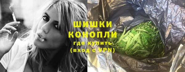 ГАЛЛЮЦИНОГЕННЫЕ ГРИБЫ Гусев