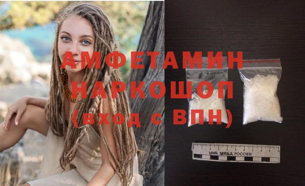 ГАЛЛЮЦИНОГЕННЫЕ ГРИБЫ Гусев