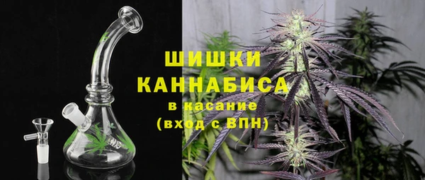 хмурый Гусиноозёрск