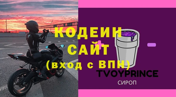 ГАЛЛЮЦИНОГЕННЫЕ ГРИБЫ Гусев