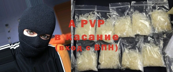 ГАЛЛЮЦИНОГЕННЫЕ ГРИБЫ Гусев