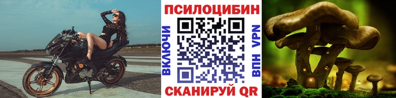 Галлюциногенные грибы Psilocybine cubensis  Купить где  Урюпинск 